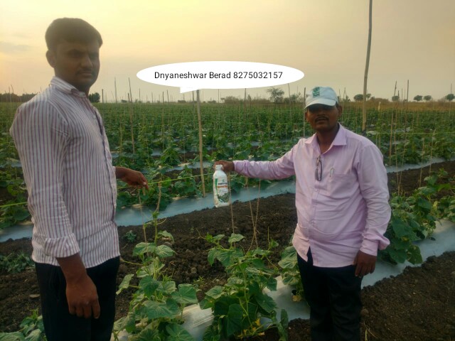 Green Planet Bio Products Nashik Mobile  shop Nashik